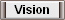 Vision