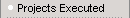 Projects Executed